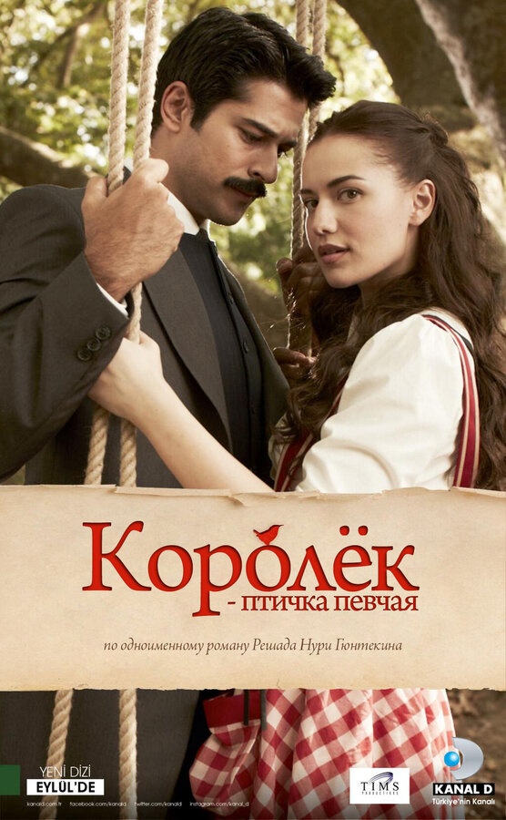 Королёк – птичка певчая 2013 постер